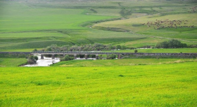  Erzurum mera ve çayır zengini